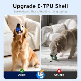 Interactive Dog Toy Ball