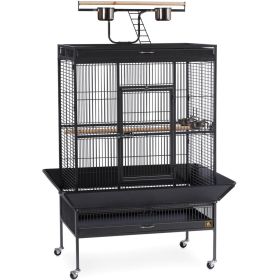 Select Wrought Iron Play Top Parrot Cage (Option: Black)